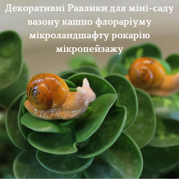Фігурка садова Равлик для міні-саду кашпо вазону флораріуму мікроландшафту рокарію мікропейзажу 1491 фото