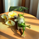 Жаба с коктейлем. Садовая фигурка полистоун 17 х 12 см 2439 фото 1